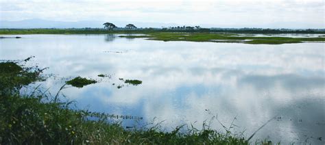 weather candaba pampanga|Candaba Swamp, Pampanga Weather .